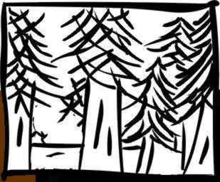 The end of the forest in sight